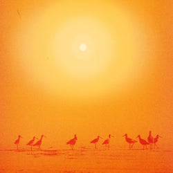Ilumina