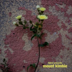 Hoesafbeelding voor fabric presents Mount Kimbie