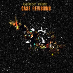 Case Revisions