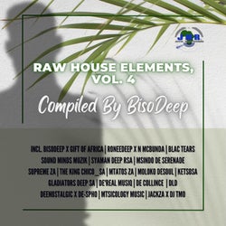 Raw House Elements, Vol. 4