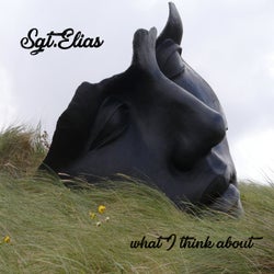 What I Think About