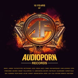 10 Years of Audioporn Records LP