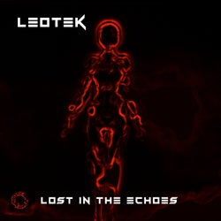 Lost in the Echoes