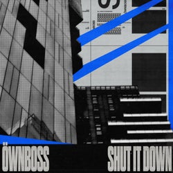 Shut It Down (Extended Mix)