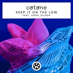Keep It on the Low (Extended Mix)