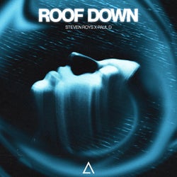 Roof Down (Extended Mix)