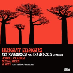LTJ Xperience & Dj Rocca Remixes
