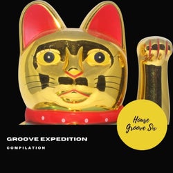 Groove Expedition