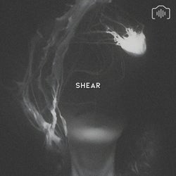 Shear