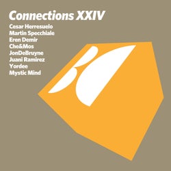Connections, Vol. XXIV