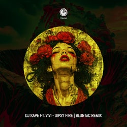 Gipsy Fire (Bluntac Remix)(feat. Vivi)