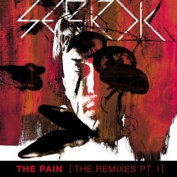 The Pain Remixes Part I