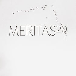 Meritas20