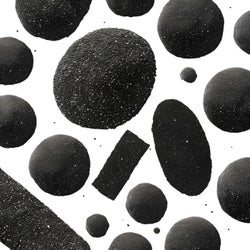 Black Sesame