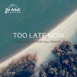 Too Late Now (feat. Francis)