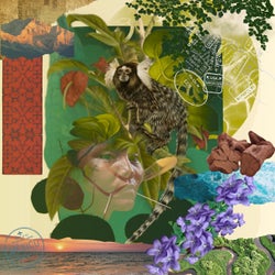 BIOSPHERES & THE VOICES OF EARTH