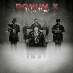 Velvet night
