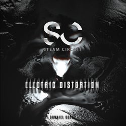 Electric Distortion