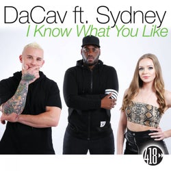 I Know What You Like (Remixes)