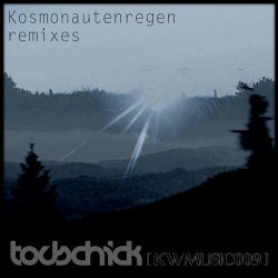 Kosmonautenregen Remixes