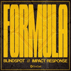 Blindspot / Impact Response