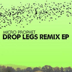 Drop Legs Remix EP