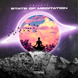 State Of Meditation