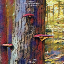 Forest Floor - EP