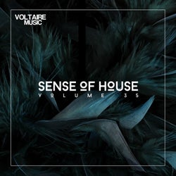 Sense Of House Vol. 35