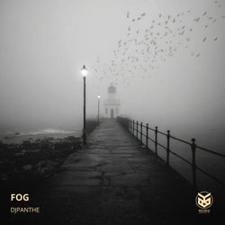 Fog