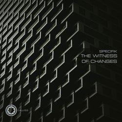 The Witness Of Changes