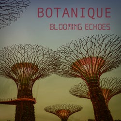 Blooming Echoes