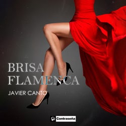 Brisa Flamenca