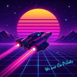 We Are Co Pilots