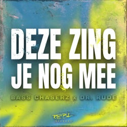 Deze Zing Je Nog Mee (Extended Version)