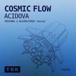 Cosmic Flow