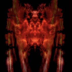 Phlebotomized