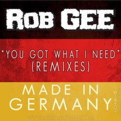 You Got What I Need (Remixes) [Made in Germany]