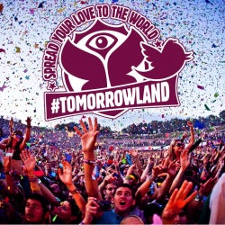 Massive Tune Tomorrowland Chart 2014