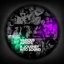 V.A. A Journey Into Sound