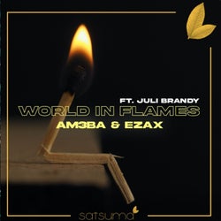 World in Flames