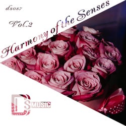 Harmony of the Senses, Vol.2
