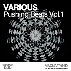 Various - Pushing Beats Vol.1
