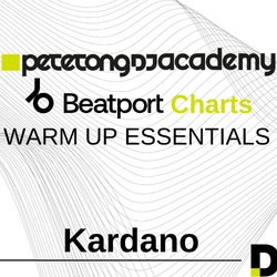 Pete Tong DJ Academy - Warm-up Essentials 1