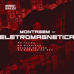 Montagem - Eletromagnetica