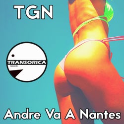 Andre Va A Nantes