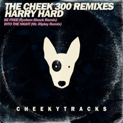 The Cheek300 Mixes