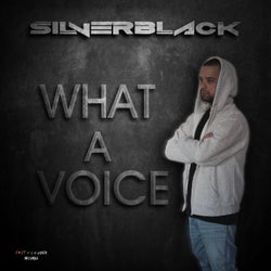 What a Voice (Original Mix)