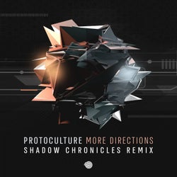 More Directions (Shadow Chronicles Remix)