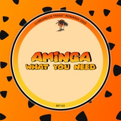 What You Need